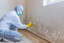 Best Asbestos and Lead Testing During Mold Inspection  in Grantley, PA