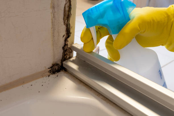 Best Mold Remediation for Healthcare Facilities  in Grantley, PA